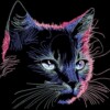Kassiga avar pusa - Image 2