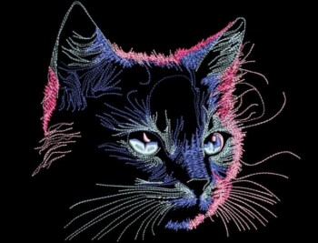 Kassiga avar pusa - Image 2